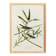 Poster about the Solitary Flycatcher, based on an old engraving from 1827.