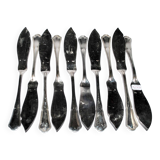 Set of 10 ercuis fish knives in silver metal, victoria spatours model
