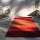 Indian carpet gabbeh 100% wool - 94x157 cm