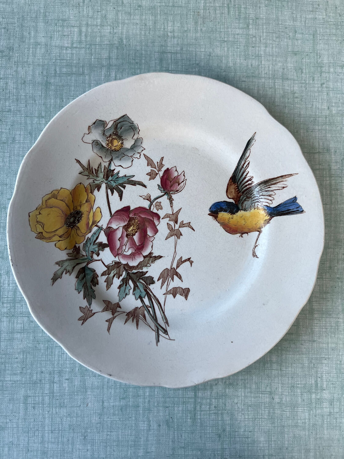 6 polychrome flat plates HB&Cie Choisy Le Roi