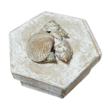 Vintage shell box