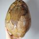 Curiosity vintage box from the 50s-60s, naturalised coconut ice bucket.