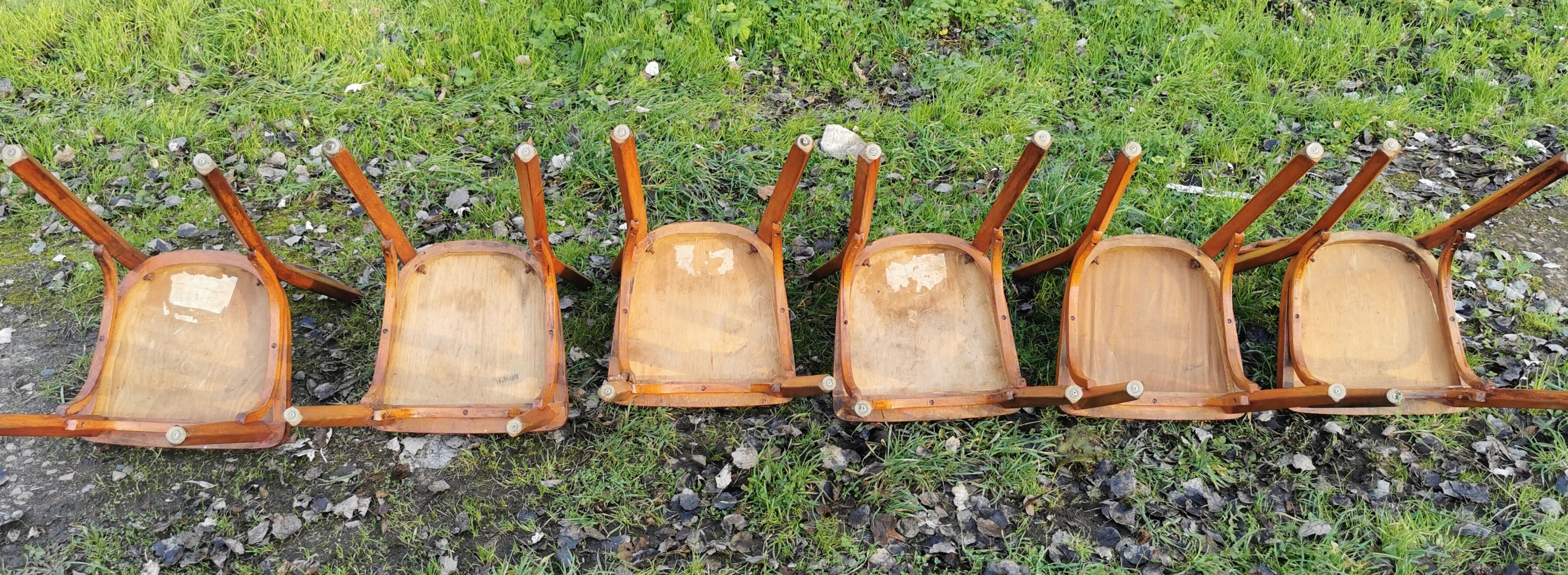 Series of 6 Baumann chairs