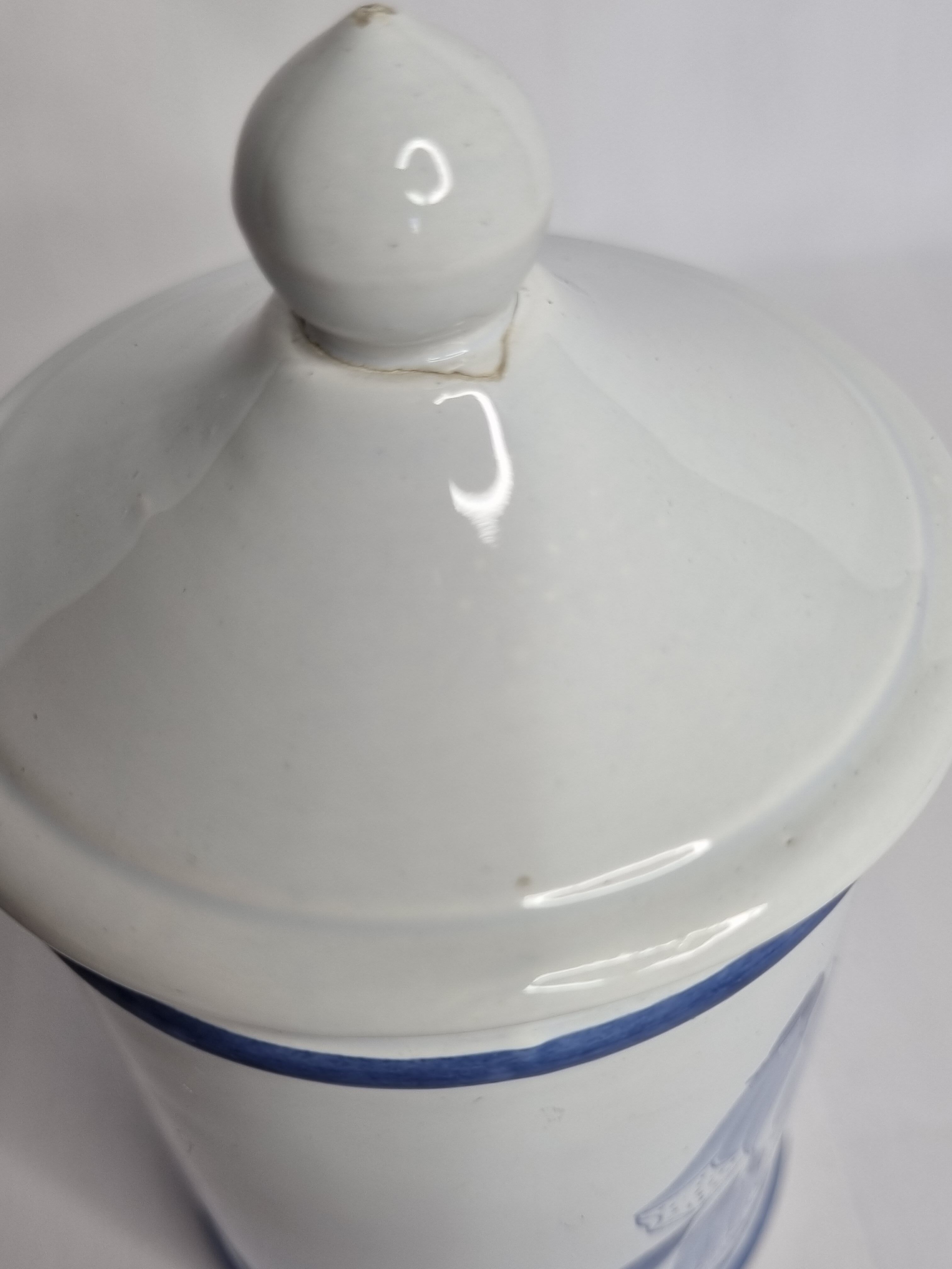 Pharmacy pot in earthenware from Longchamp Digitalis