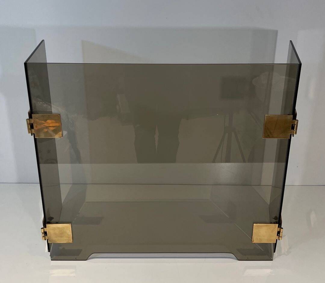 Three-Panel Folding Fire Screen in Smoked Glass with Polished Brass Hinges,