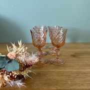 6 Rosaline twisted liqueur glasses
