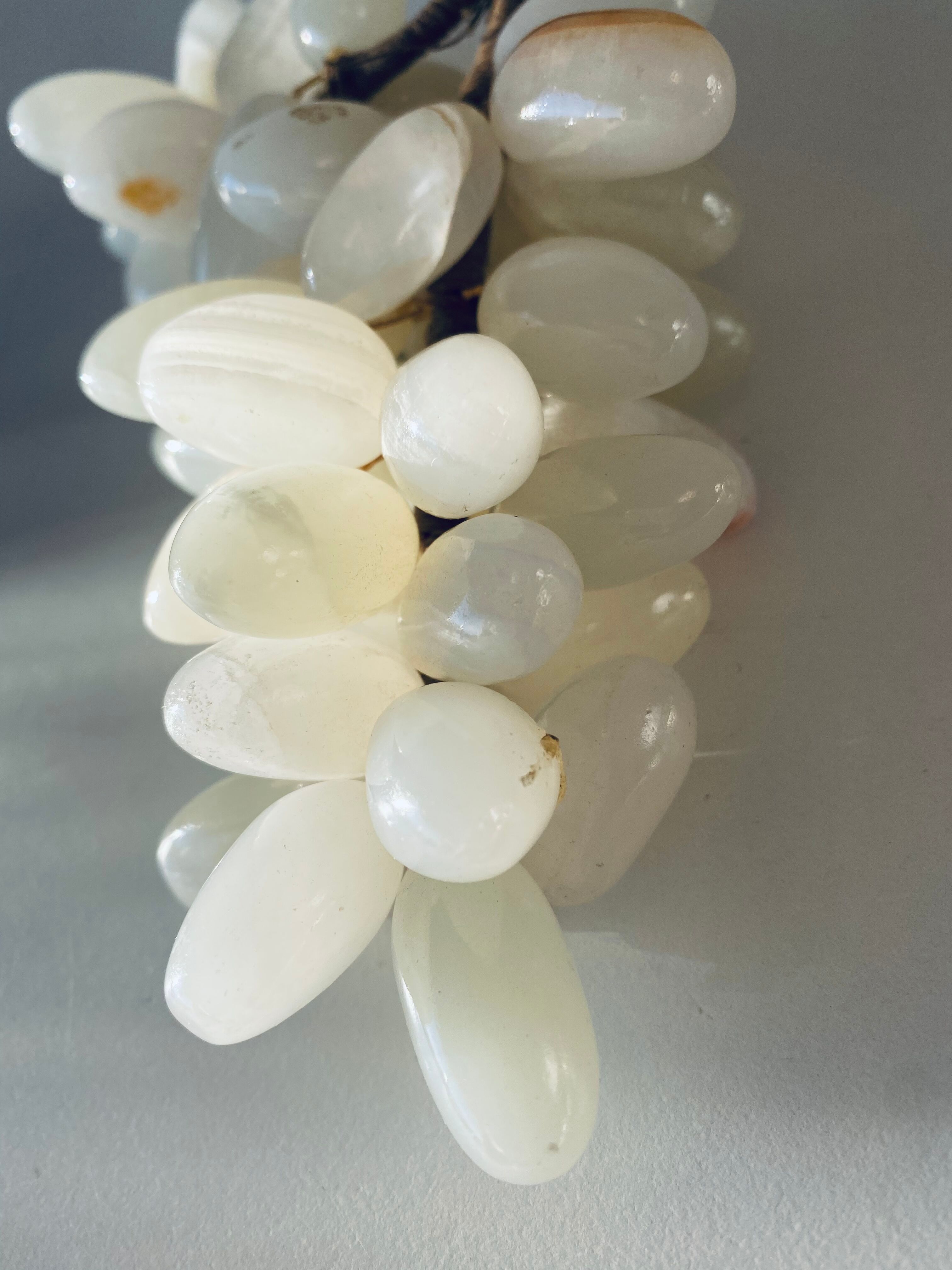 Bunch of onyx grapes