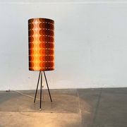 Mid-Century Modern Tripod Floor Lamp, 1960s