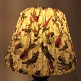 Oil lamp and its lampshade