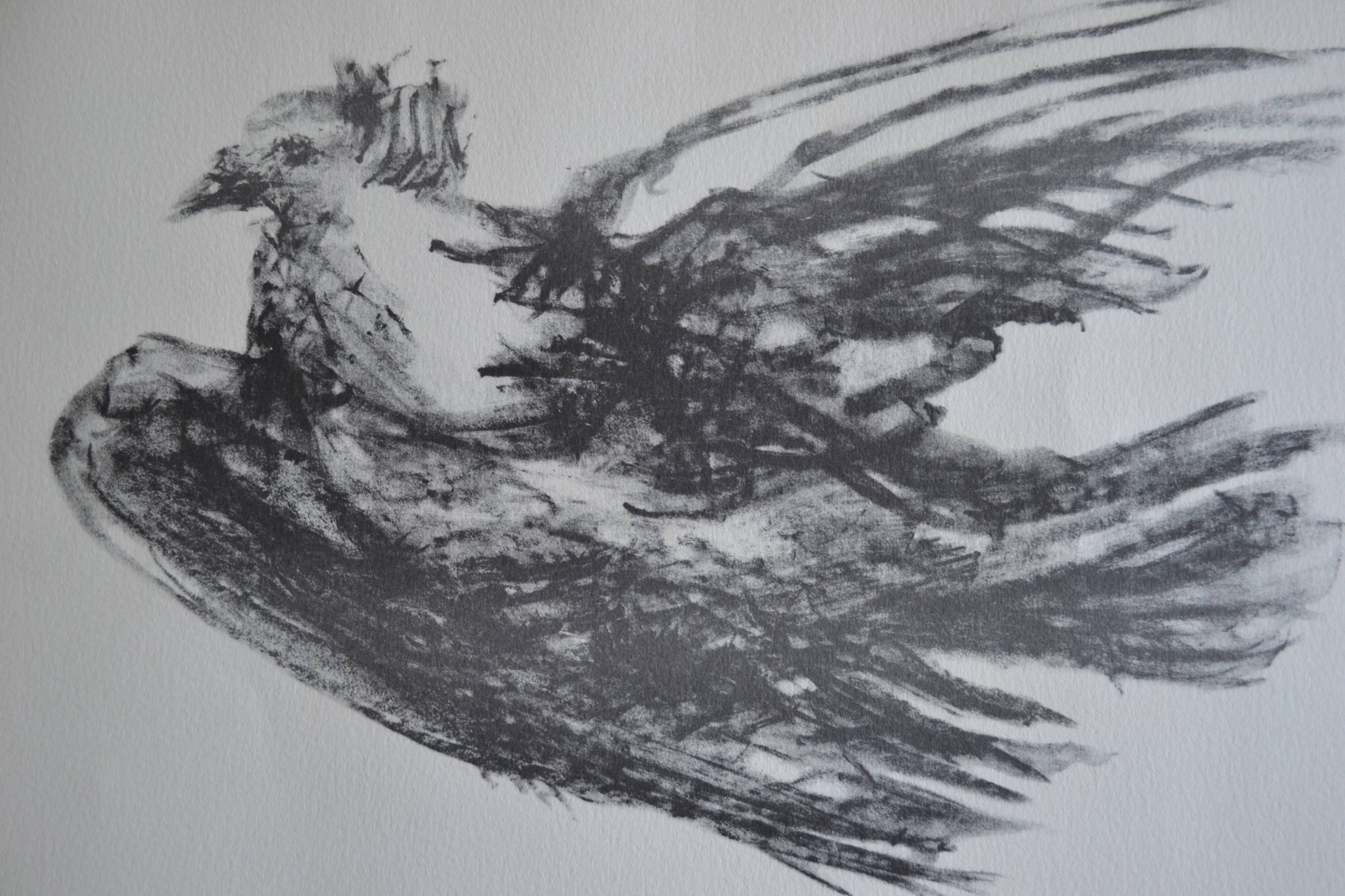 Picasso Lithographie originale 1959 La colombe en vol 38x28cm