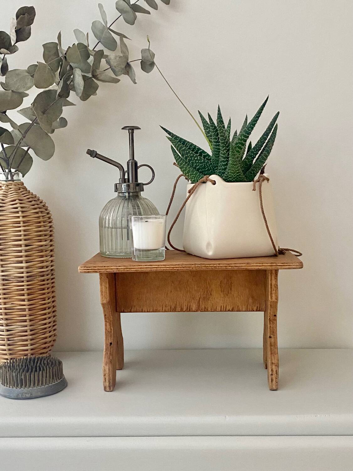 Plant holder