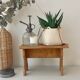 Plant holder