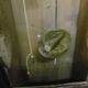 Comtoise clock 20th