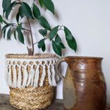 Terracotta pitcher