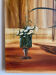 Ancient painting, still life with flowery vase and glass, signed,XX century