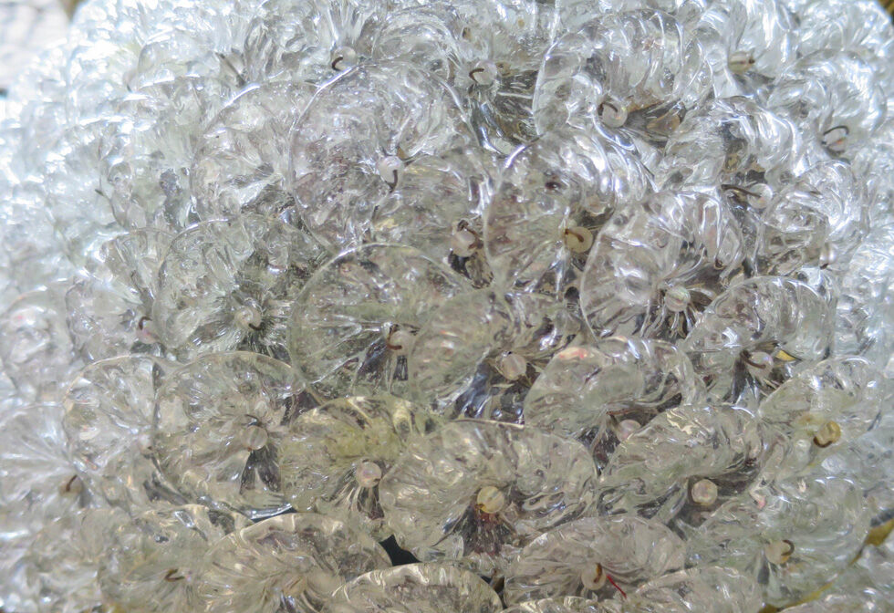 Brass flower wall light