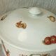 Porcelain soup with fire decor legumes 4 seasons