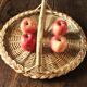 Round wicker and glass tray Anse Vannerie Vintage