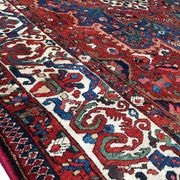 Oriental rug: former bakhtiari, 490 x 325