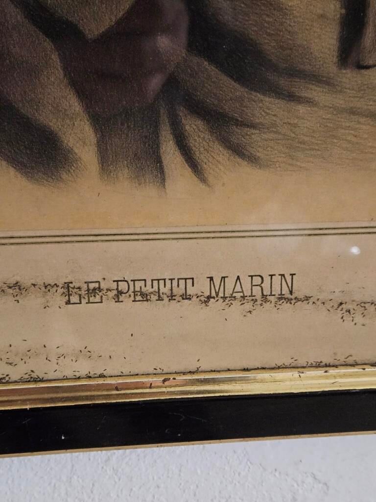 Portrait of the little sailor