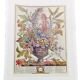Lot of 19th century Floral Engravings - Vintage Art Print Flowers - 12 months - Robert Furber