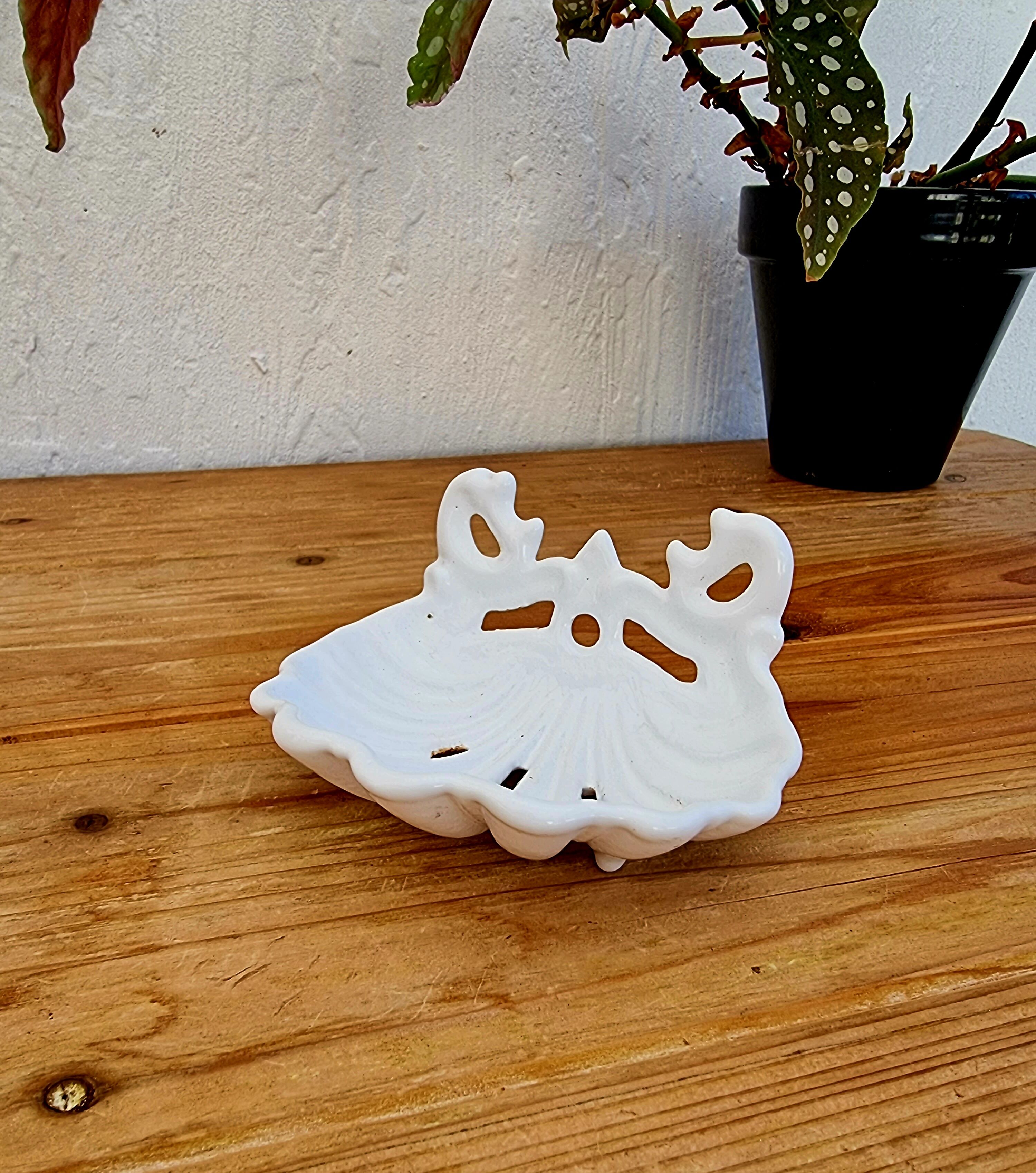 Vintage shell soap holder