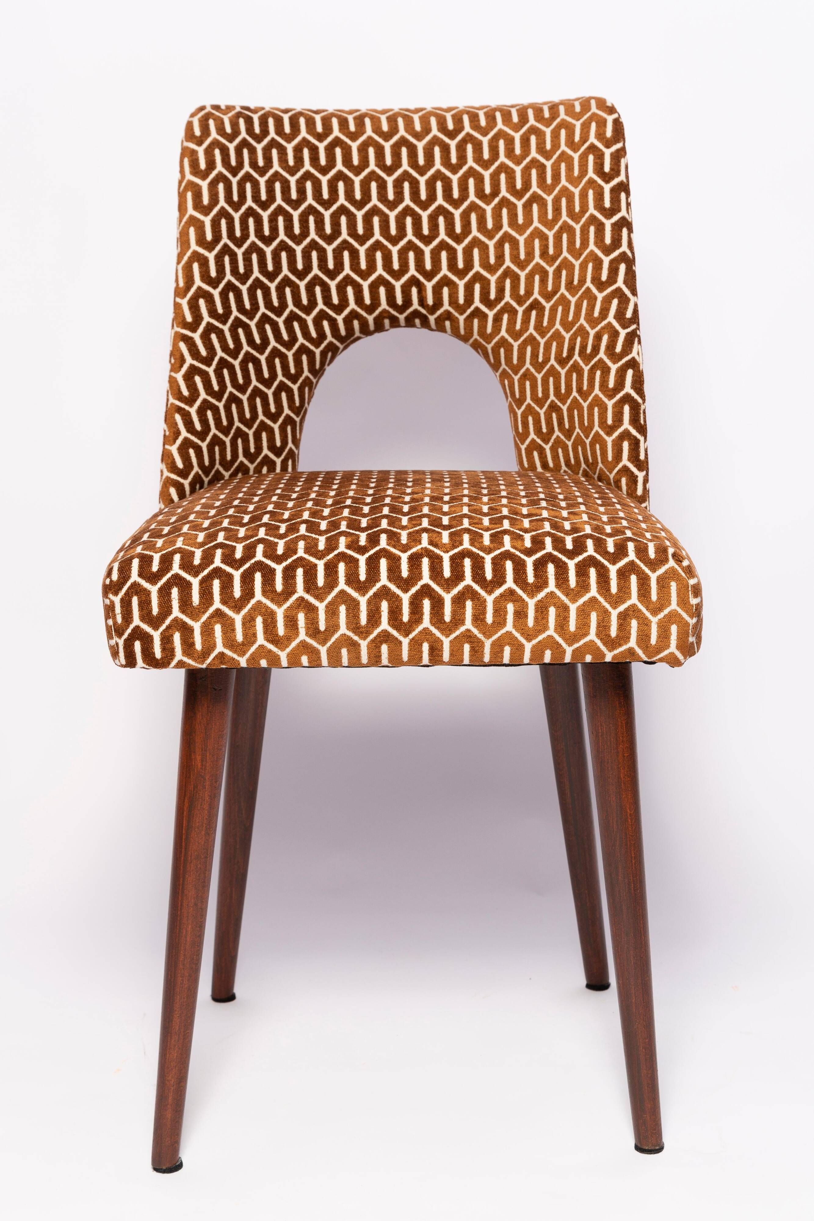 'Shell' chair chocolate mid-century, Europe, 1960s