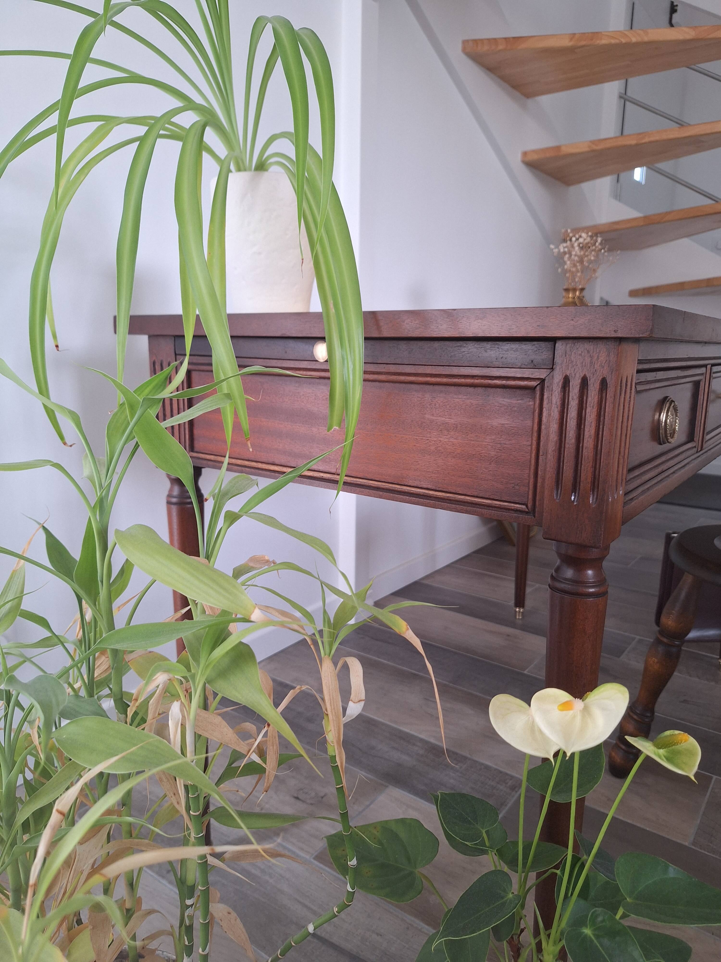 Louis XIV style desk