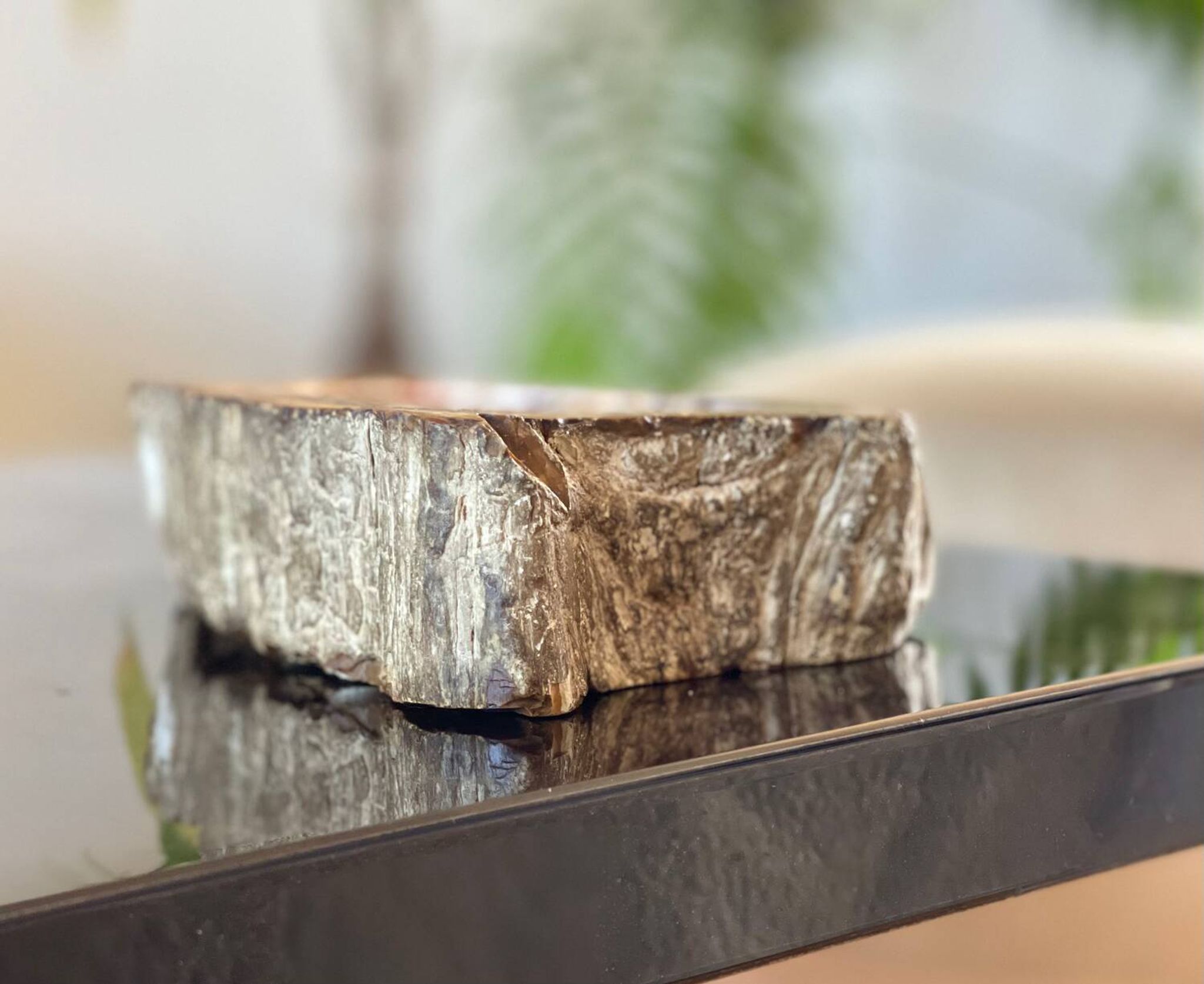Petrified wood catchall