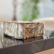 Petrified wood catchall