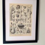 Old engraving 1922, Wheat, barley, cereal • Lithograph, Original plate