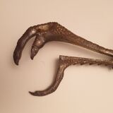 Faisander pliers