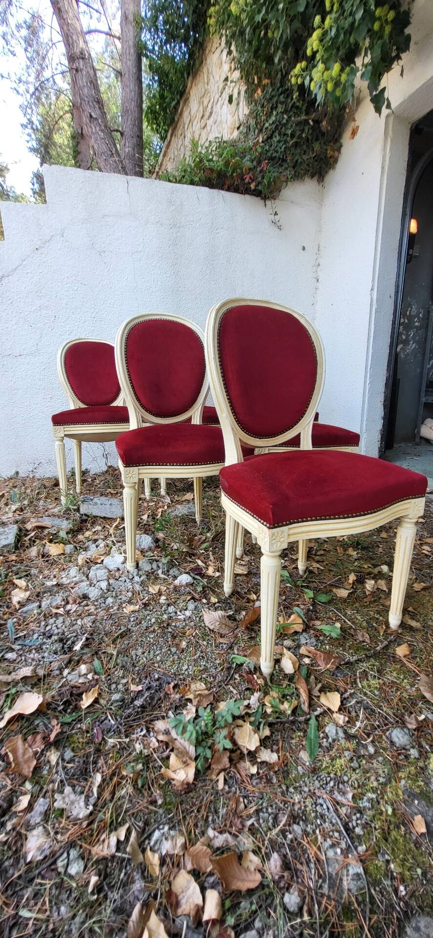 Velvet medallion chairs