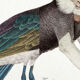 2 Chimeras lithography animal engraving