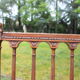 Pair of Napoleon III chairs