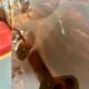 Vintage 70's lucite plexi tortoiseshell magazine rack