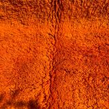 Orange Grove Rug 200x300cm