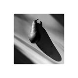 Limited edition art photo. Numbered, dated and signed by the photographer