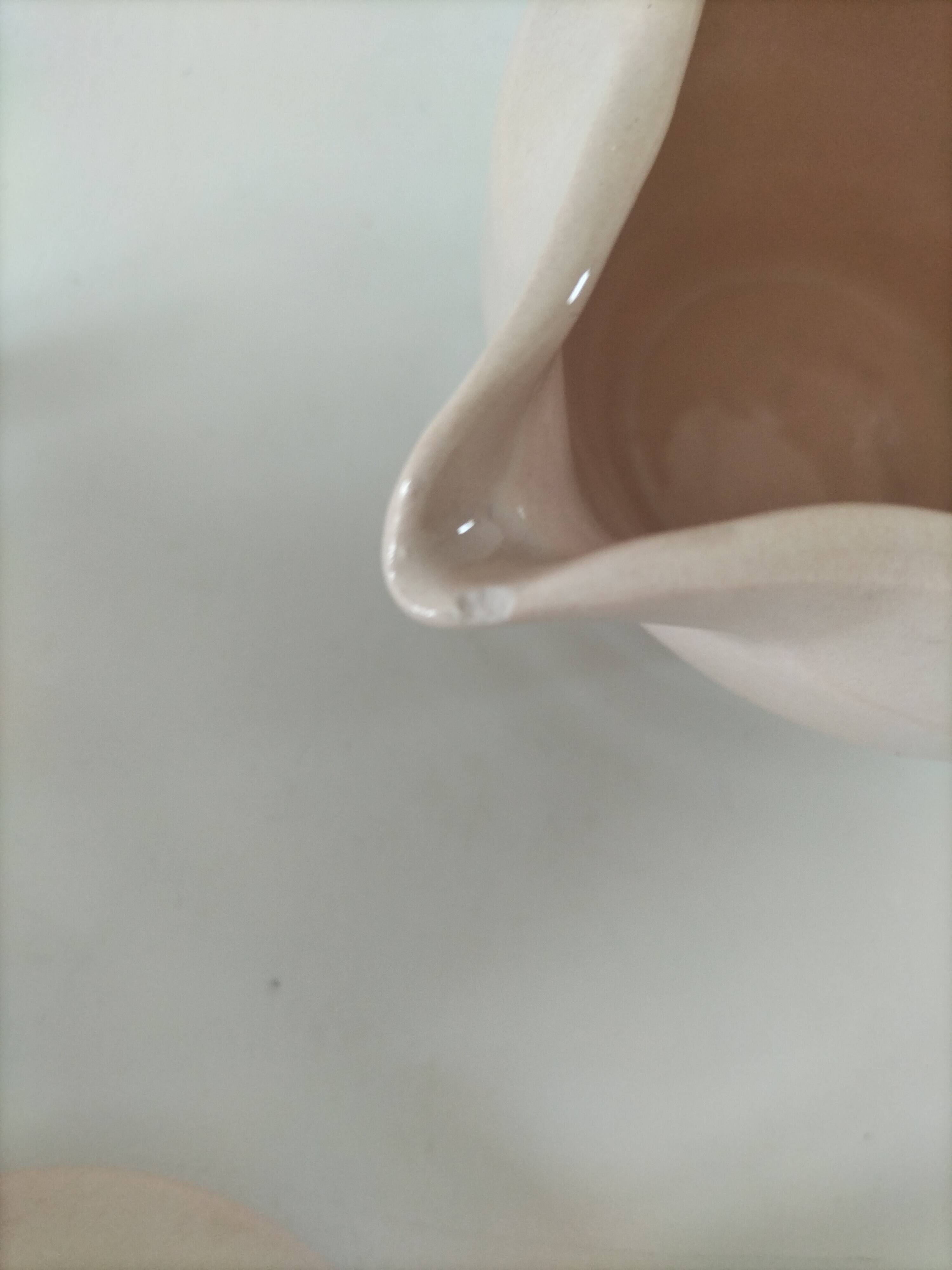 Art Deco sugar bowl and milk jug Céranord Saint-Amand pale pink