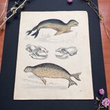 Poster (lithograph) seal