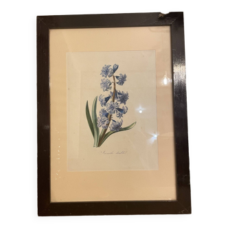 Framed floral print