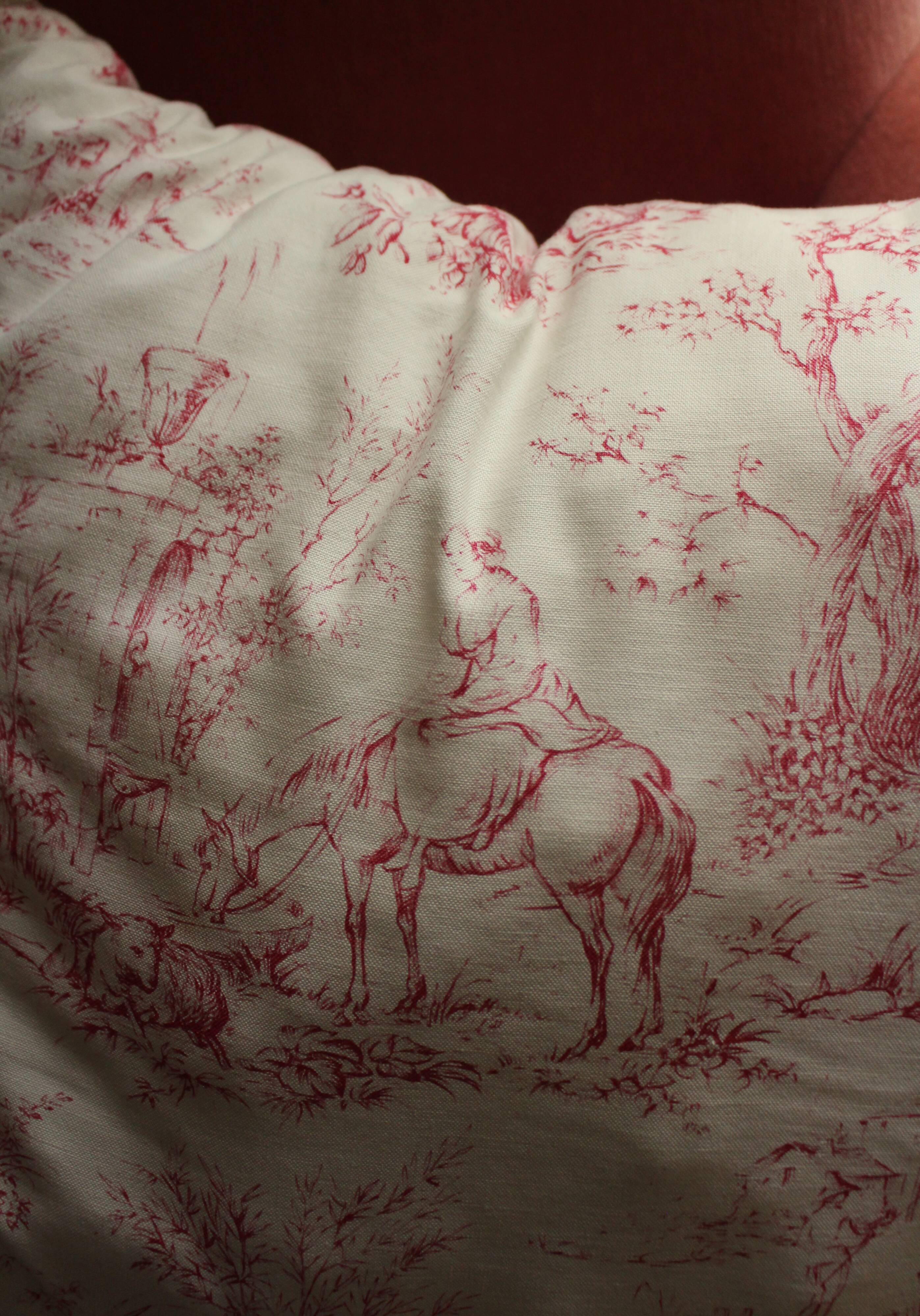 Paire Coussins Toile de Jouy rose ancienne