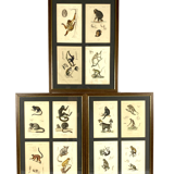 Set of 3 framed panels with 12 engravings from "Le Règne Animal" Georges