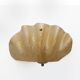 Pair of Mid-Century Modern Style Murano Glass Shell Sconces