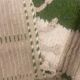 Green fir Berber rug and ecru – Authentic and original artisanal style
