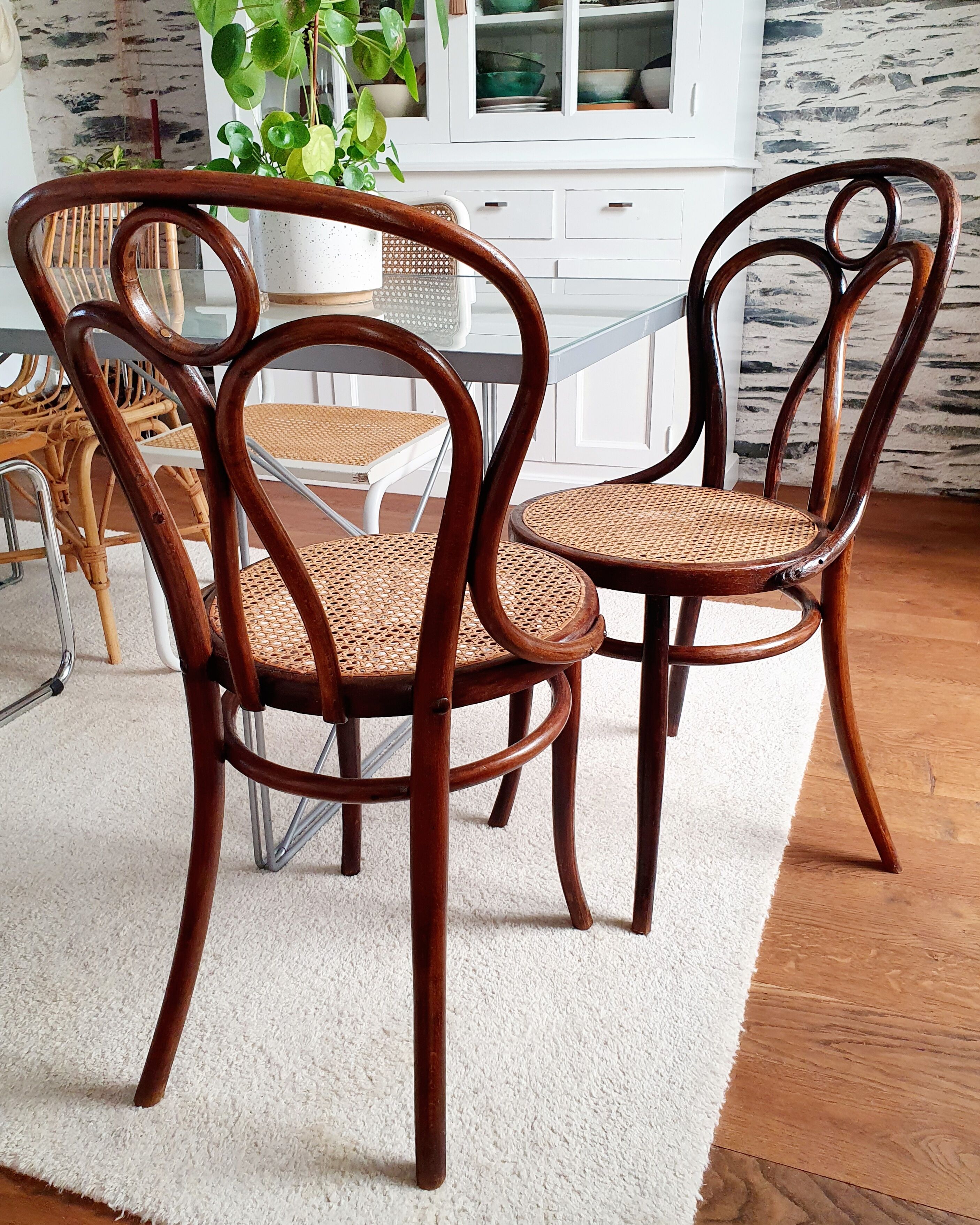 Paire de chaises cannées J&J Kohn  n°36