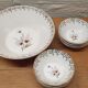 Set saladier et 8 coupelles Sarreguemines