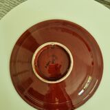 Dish