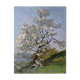 Tableau peinture