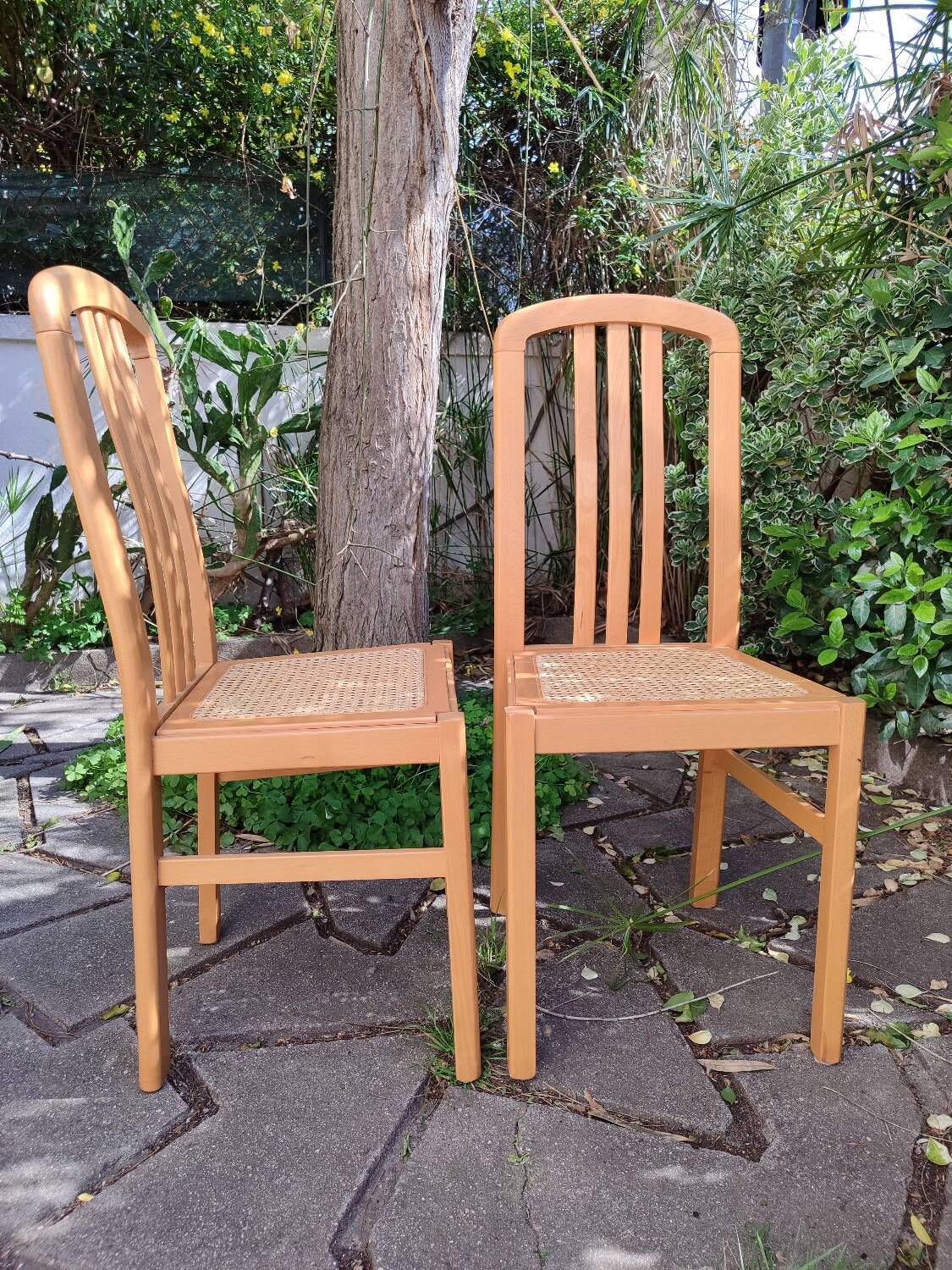 Chaises en bois et cannage